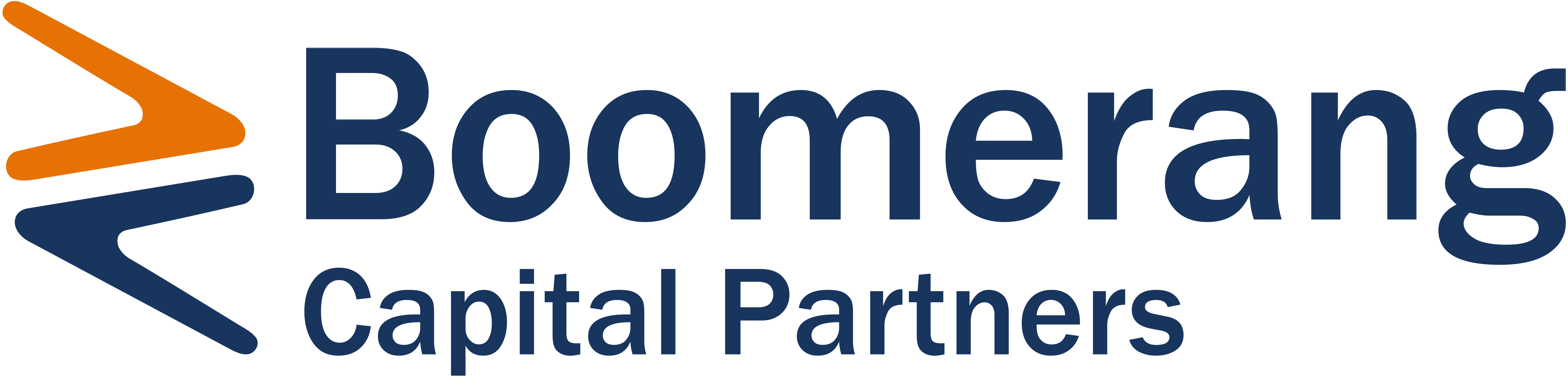 boomy_logo boomy_logo